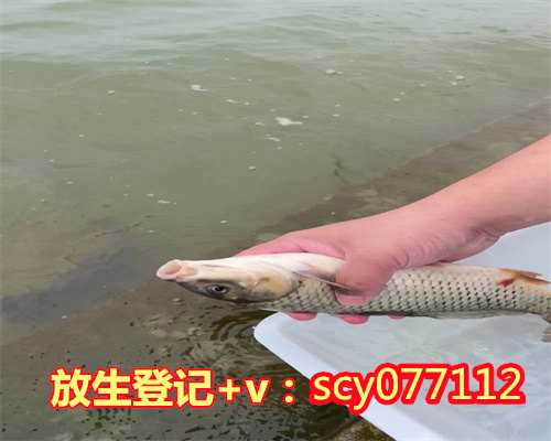 深圳放生鱼地点，放生通知：9月4日深圳周末放蛇之旅