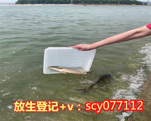 重庆嘉陵江适合放生鱼吗什么鱼，重庆缙云寺举行2020年感恩祈福活动