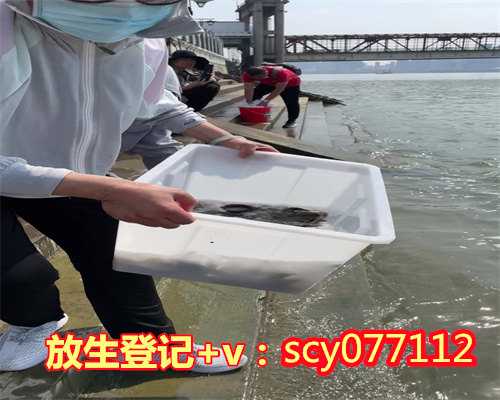 天津哪个湖可以放生鱼，一官员得白血病，将天津海鲜全买了放生后奇迹般痊愈
