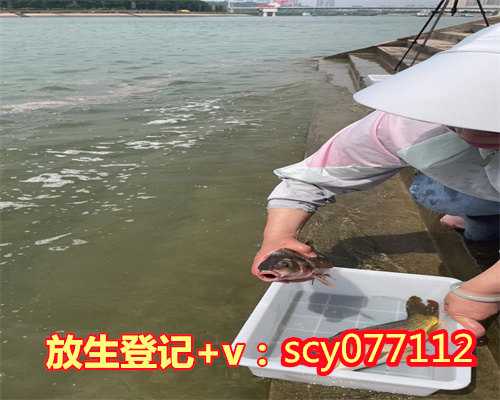 广州河冲可以放生鸭子吗，粤港澳大湾区文化论坛在广州举行