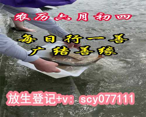 重庆放生协会入会，台州山东放生群,台州重庆哪儿有放生池子【放生鱼用什么