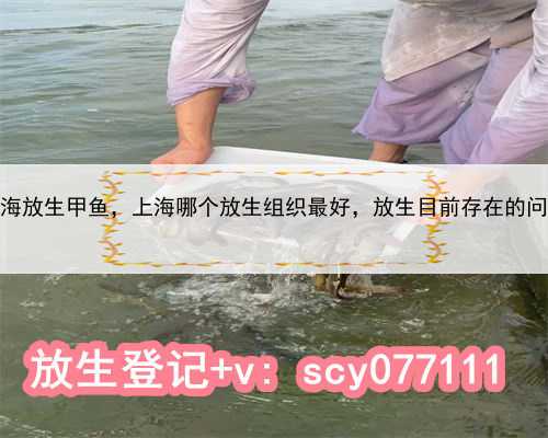 上海放生甲鱼，上海哪个放生组织最好，放生目前存在的问题