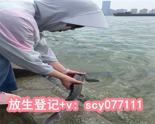 重庆市内放生地方，重庆带回娃娃鱼放生南岳溪水中