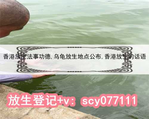 香港放生法事功德,乌龟放生地点公布,香港放生的话语