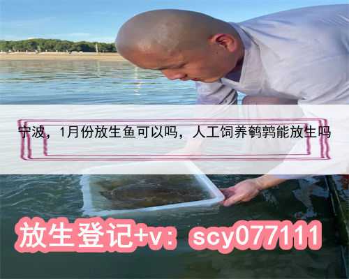 宁波1月份放生鱼可以吗，人工饲养鹌鹑能放生吗
