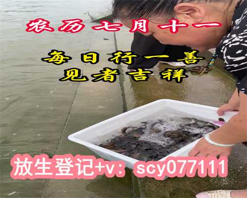 重庆放生鱼的佛歌，重庆寺庙代放生好吗，重庆有放生的组织吗